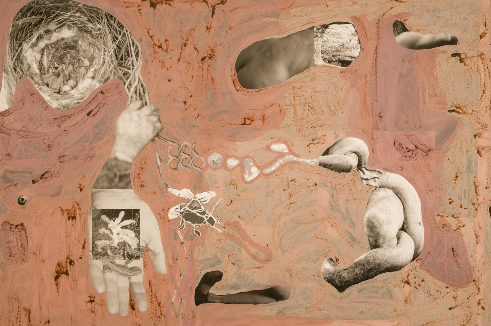 圖十二、《地勢 (關(guān)于時間，關(guān)于身體)》 (細節(jié)圖)，O?zlem Alt?n，2019